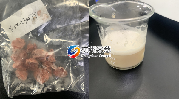 宋慈全自動組織研磨儀研磨老鼠成骨實驗案例